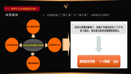 房地產(chǎn)營(yíng)銷策劃全案解析 從策略到執(zhí)行